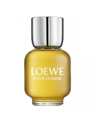 LOEWE POUR HOMME EDT 100ML